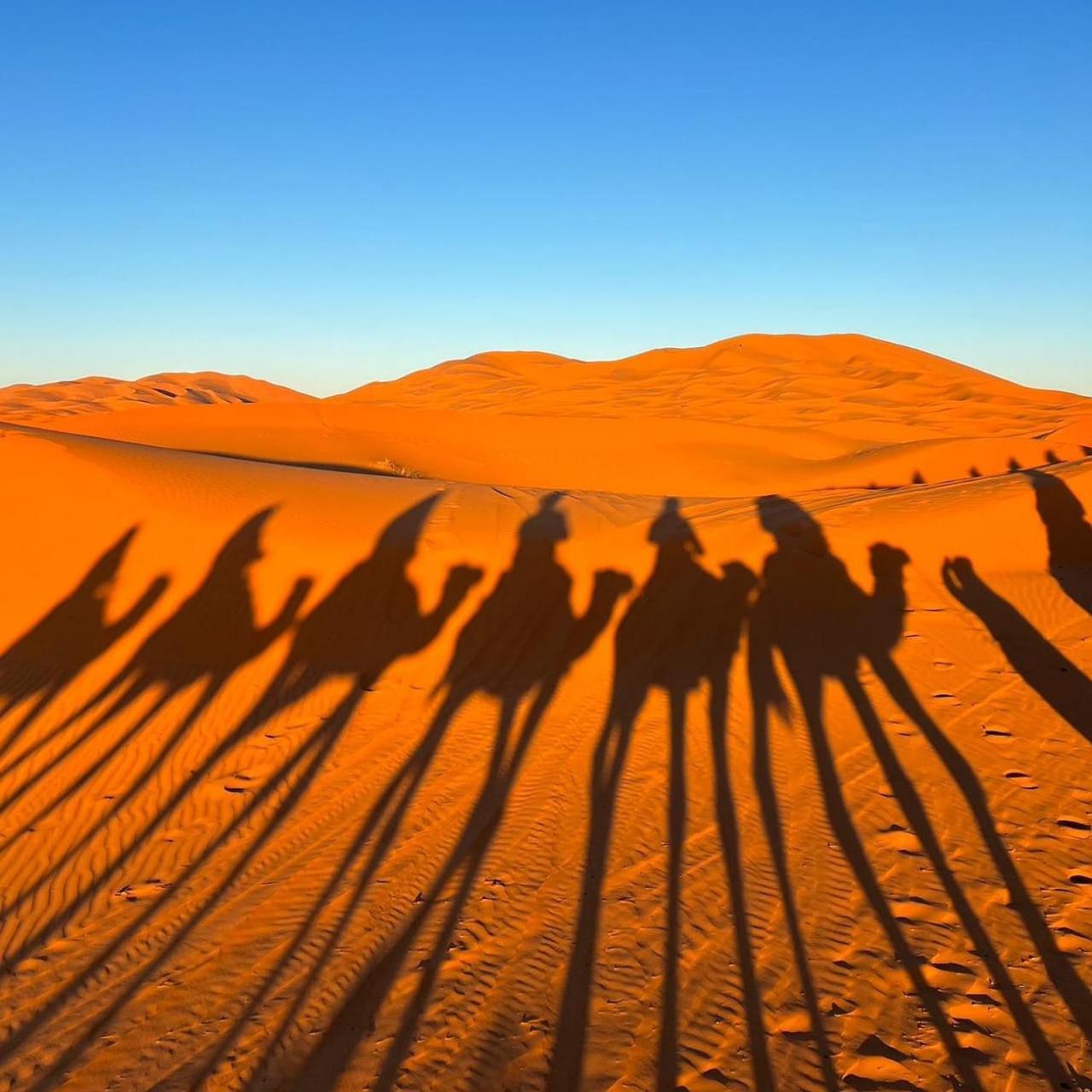 ホテル Sahara Luxury Glamping メルズーガ エクステリア 写真